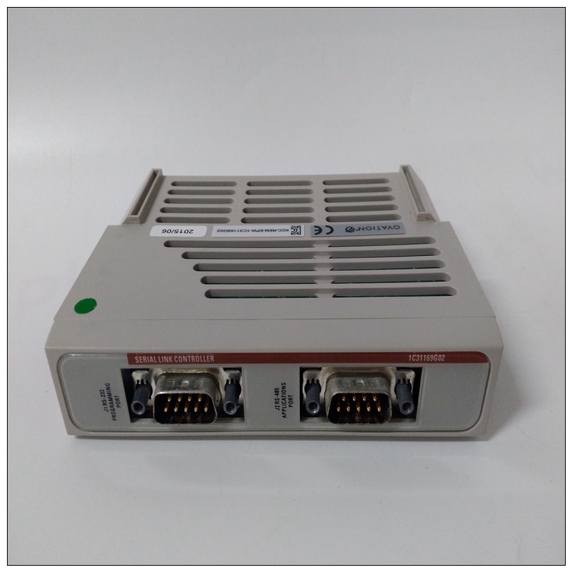 1C31169G02.jpg