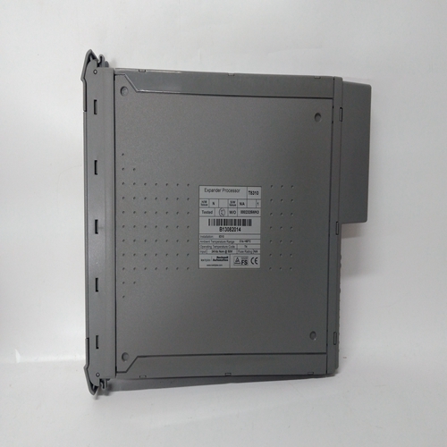 ICS TRIPLEX T8202處理器模塊,模塊控制器