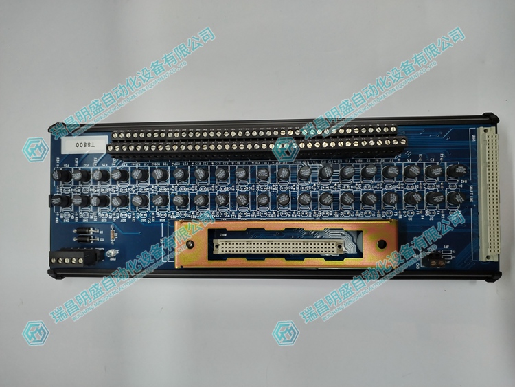 ICS Triplex T8800 運動(dòng)控制器模塊